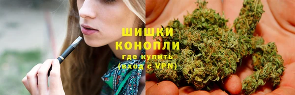 PSILOCYBIN Волосово