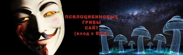 прущие грибы Верхний Тагил