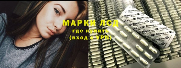 PSILOCYBIN Волосово