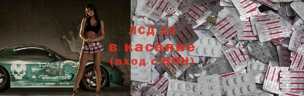 PSILOCYBIN Волосово
