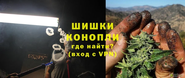 мдпв Волоколамск