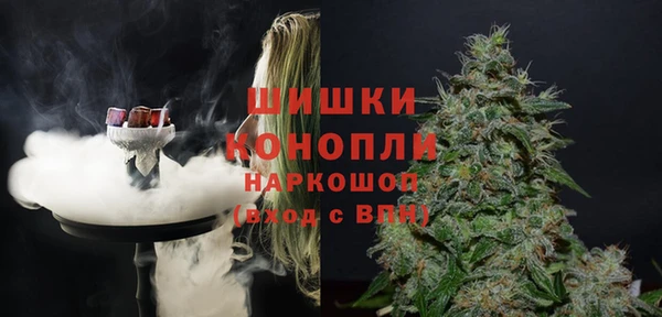 мдпв Волоколамск