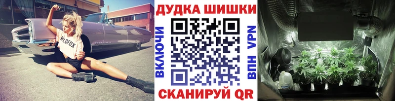 Купить где  Саров  Бошки Шишки индика 